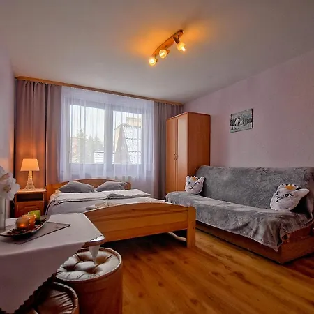 Jesionkowka - Centrum Zakopanego Rum i privatbostad Zakopane