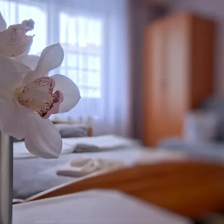 Jesionkowka - Centrum Zakopanego בית אירוח זקופאנה